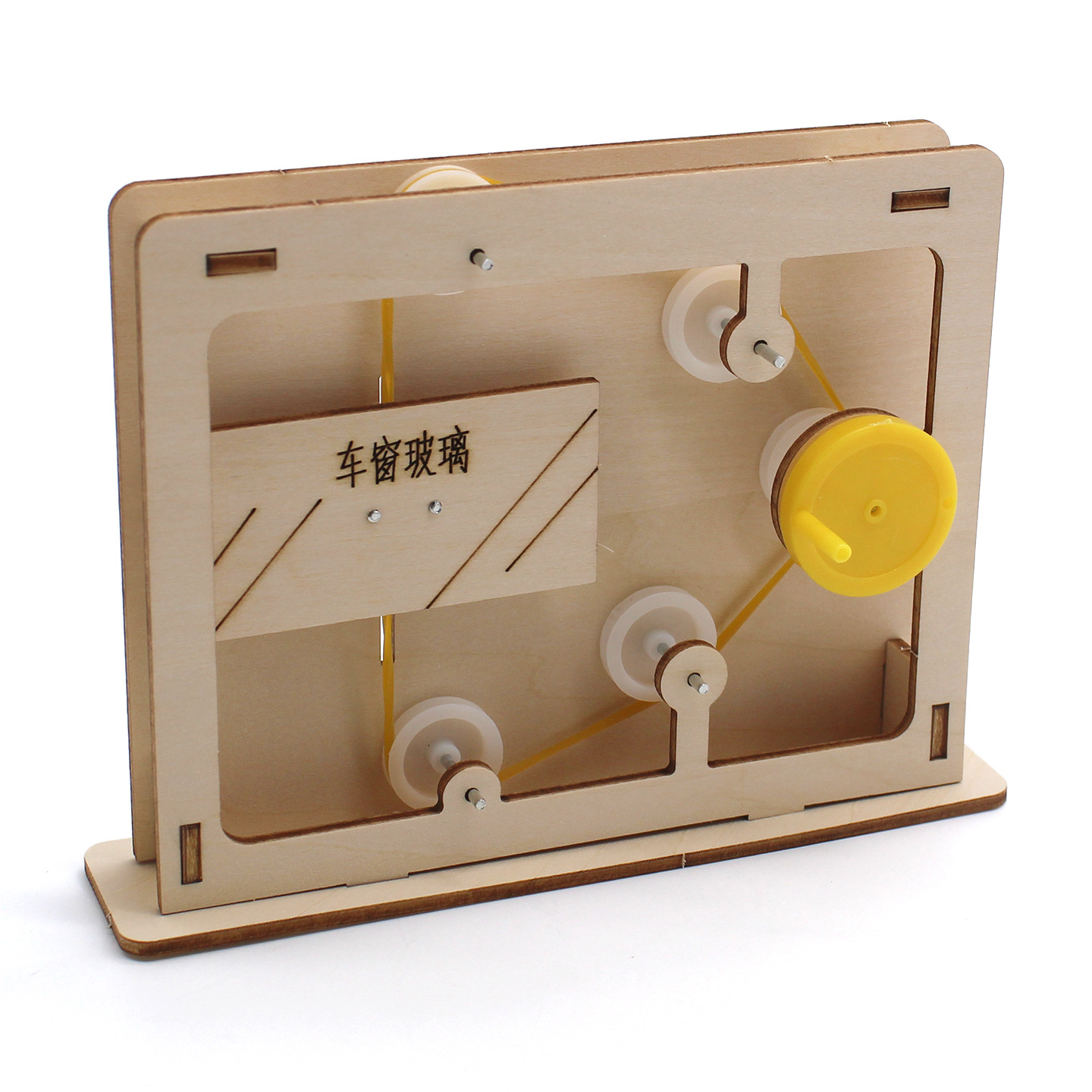 Modelo educativo de cuerda y p - Science Diy Model reseña y precio